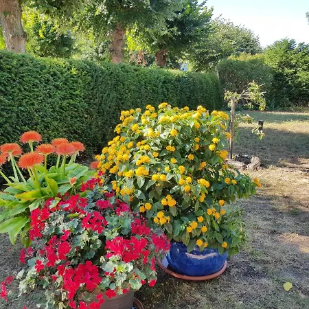 Romantica - Grosser Wintergarten - 300m Apartment *